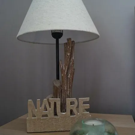 Appartement Cosy Chic *